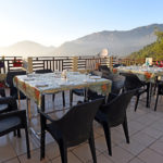 terrace2-greenroof