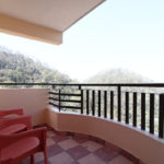 balcony41-greenroof