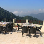 open-dining-greenroof